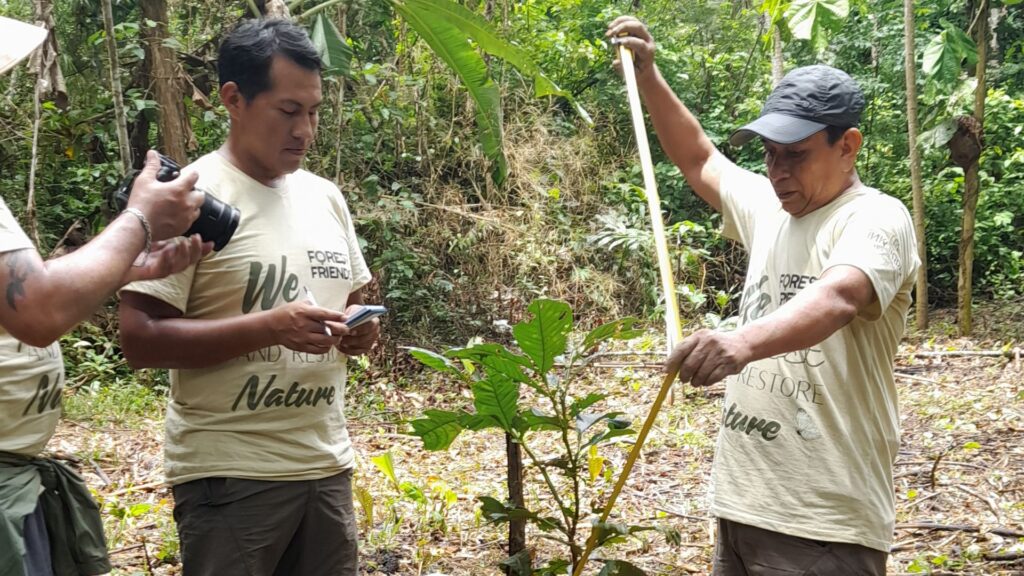 Calculate Carbon Emissions and Plant with Forest Friends