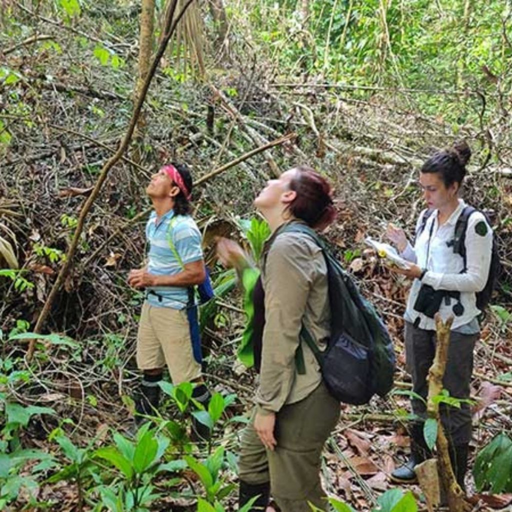 CEPA Foundation costa rica