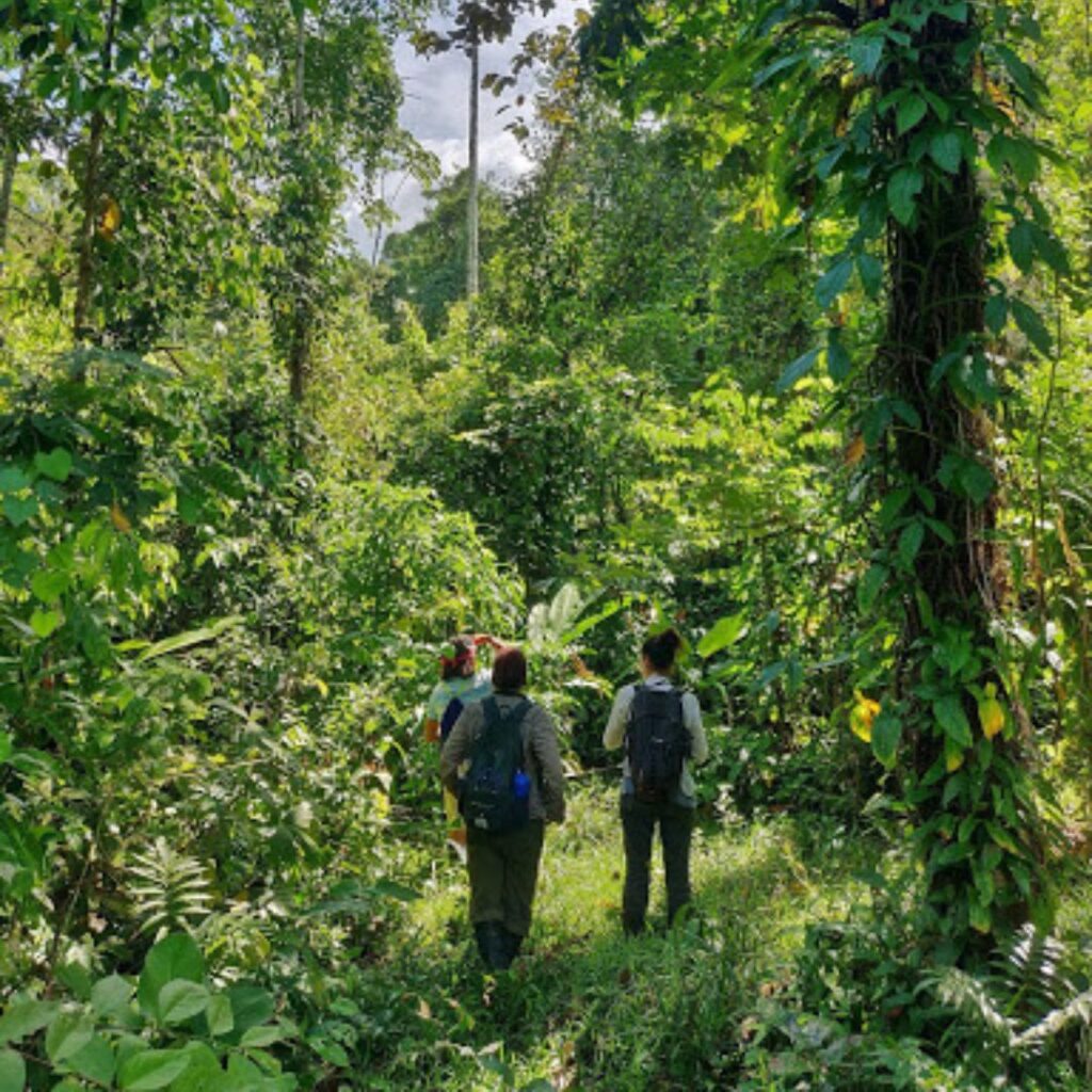 Costa Rica - Peninsula de Osa - Plant Trees - Green Initiative