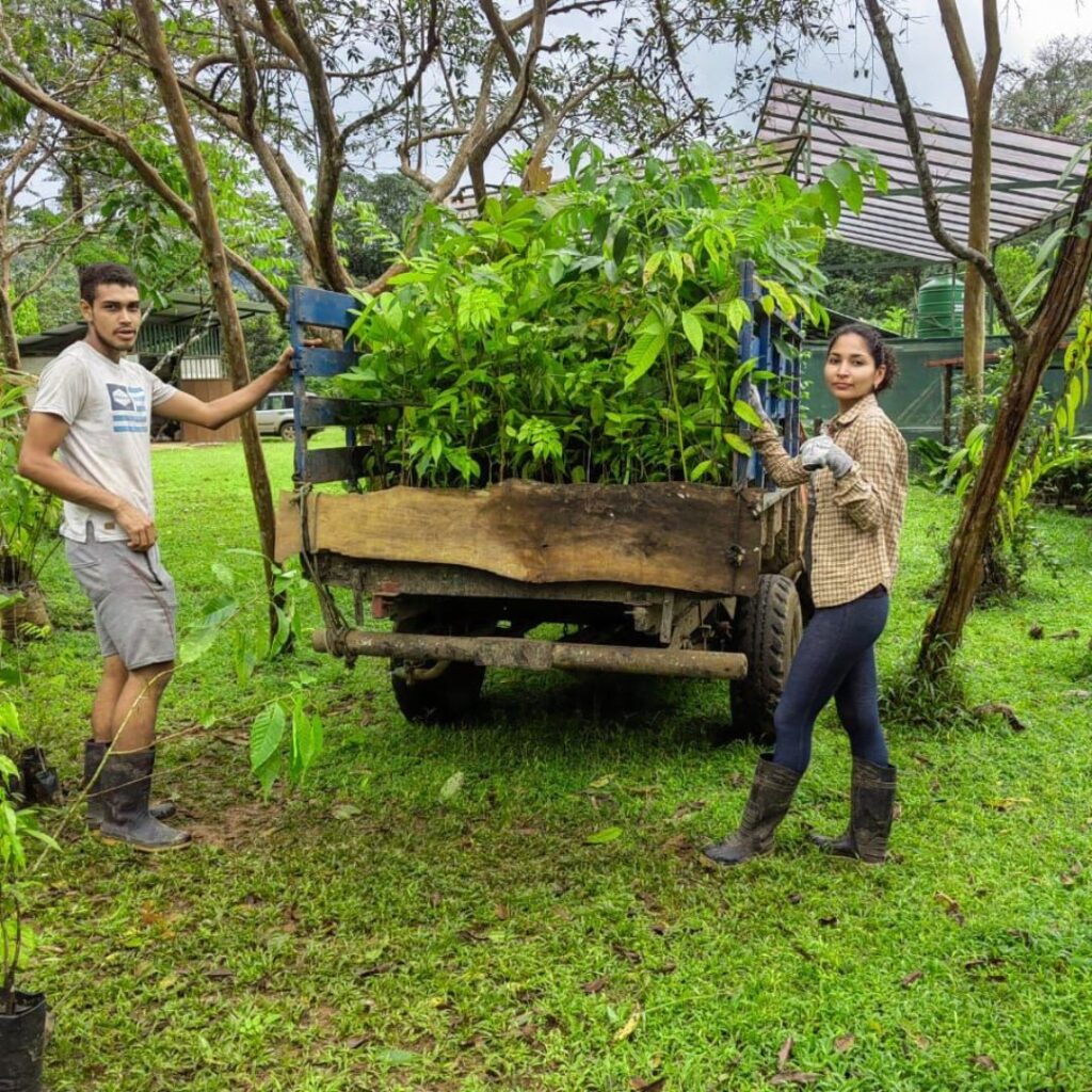 Plant Trees in Costa Rica, Peninsula de Osa with Forest Friends and Green Initiative
