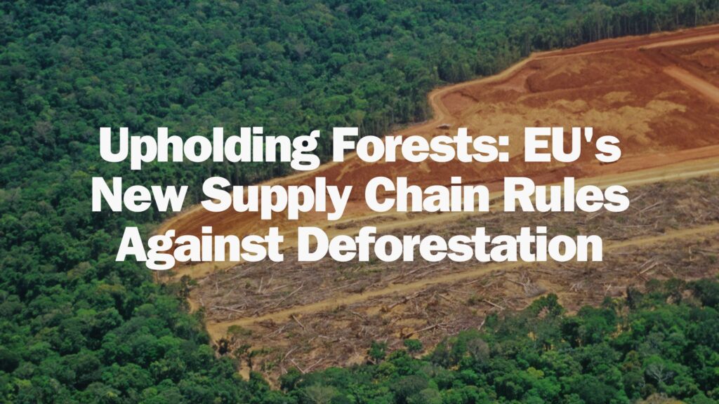 EU Implements Strict Measures to Ensure Deforestation-Free Supply Chains