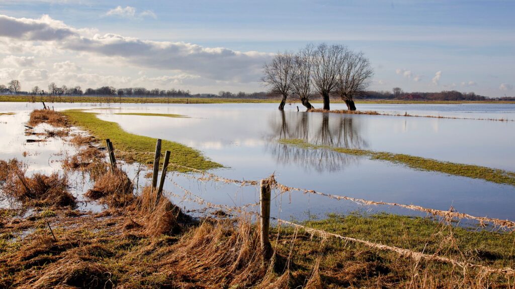 Como o aquecimento global está afetando as taxas de inundação em todo o mundo? Green Initiative