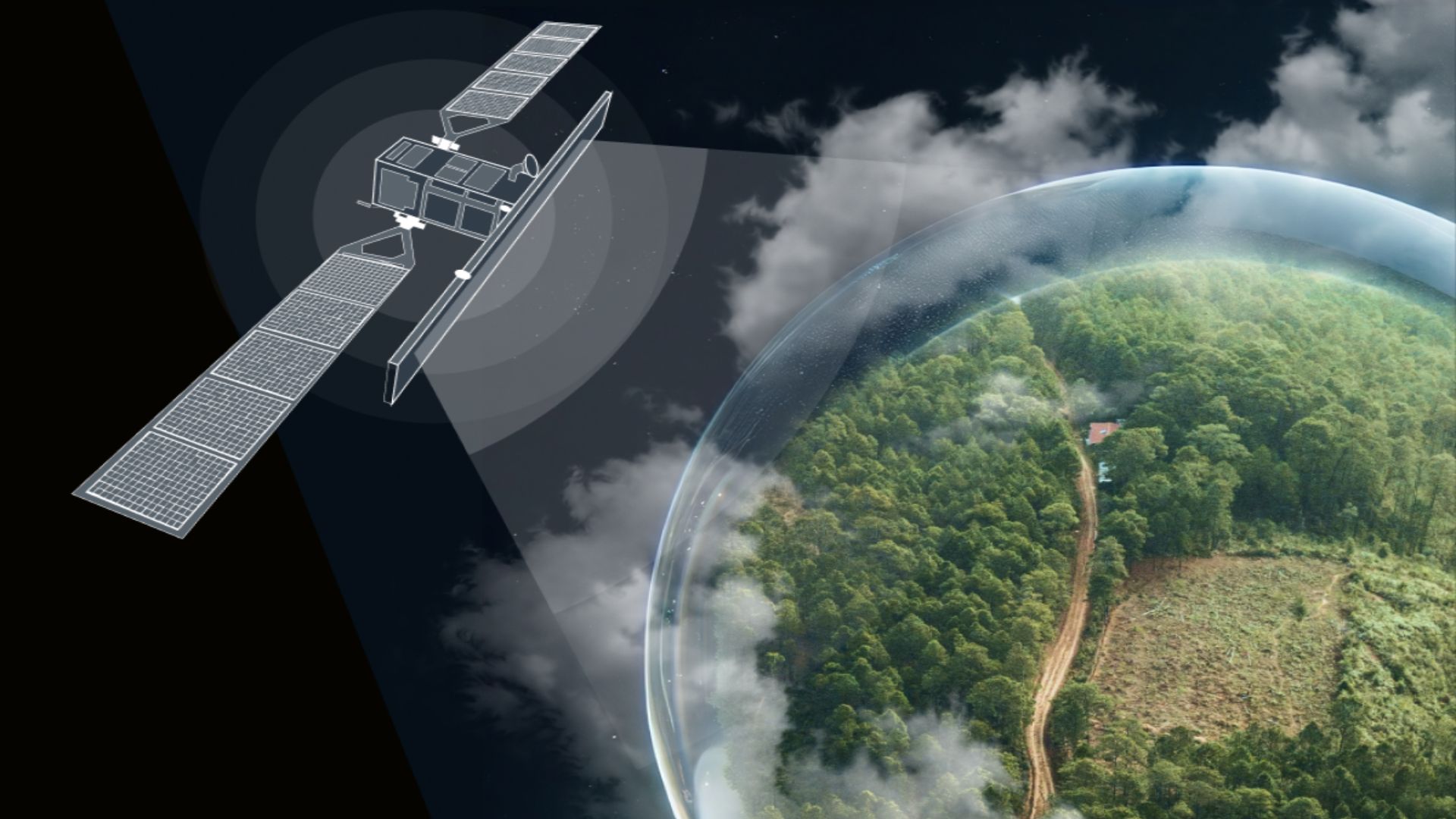 El papel de los datos satelitales y la analítica en el monitoreo de la restauración de bosques degradados - Green Initiative