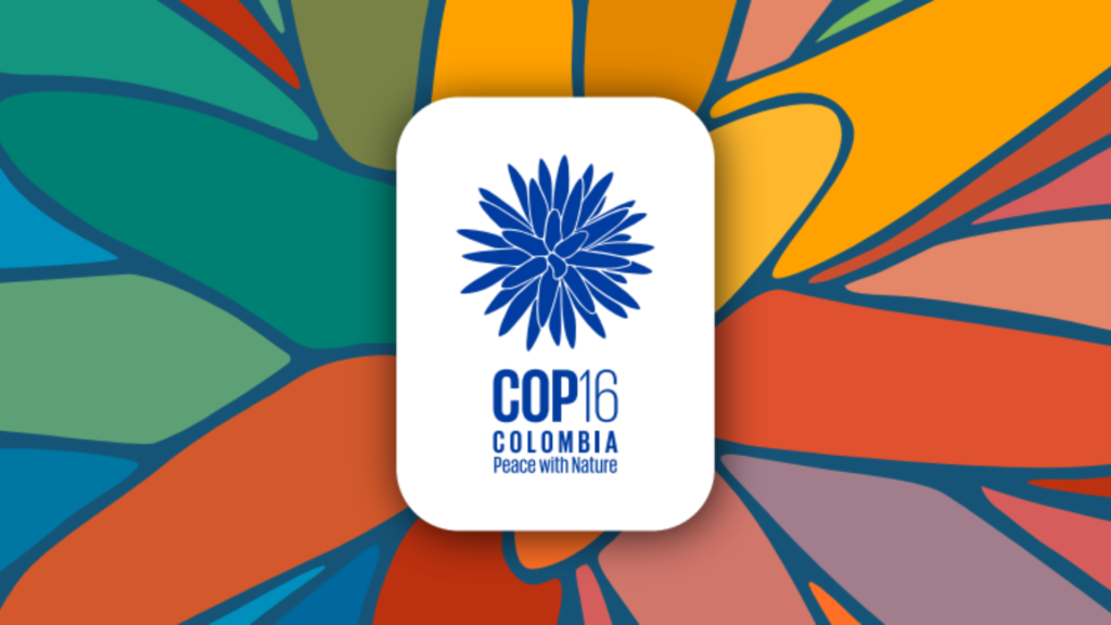 Join Us at COP 16 Machu Picchu – A Carbon Neutral and Regenerative Tourism Destination