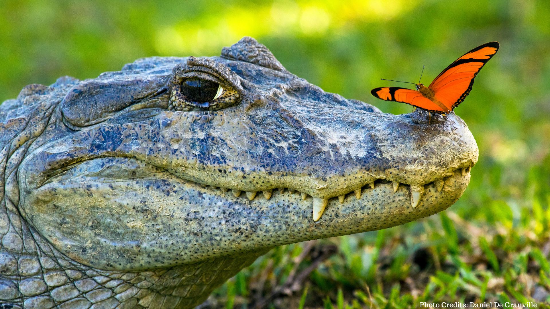 Mato Grosso do Sul Recognized Among Top 3 in Brazil’s Best ESG Practices for Sustainable Tourism - Photo Credits Daniel De Granville