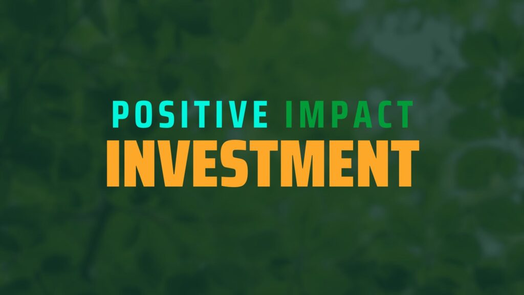 Positive Impact Investment The New Frontier of Investments for Climate Action and the Role of Verification Organizations