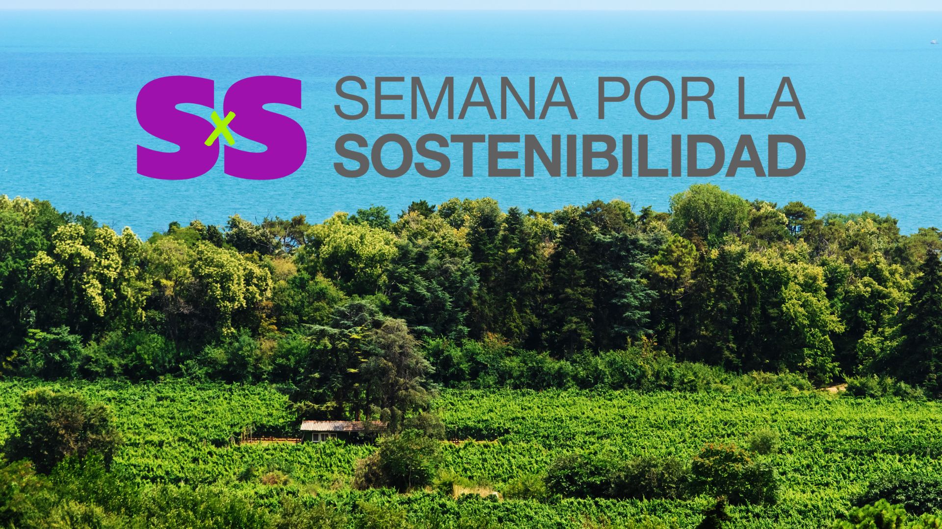 Sustainability Week 2025: Green Initiative Presents Landmark Cases of Climate-Responsible Tourism