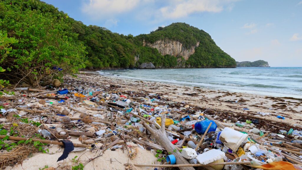 Día Mundial del Medio Ambiente 2025: Historia, evolución y la lucha contra la contaminación plástica (1)