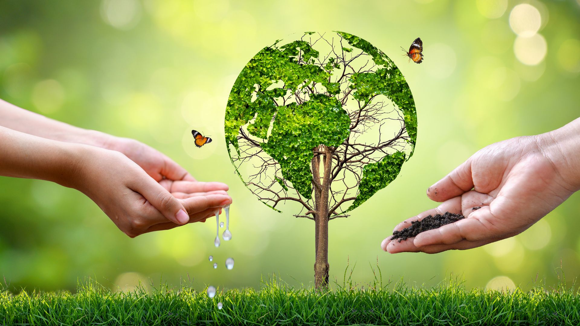 Why Should We Protect the Environment? The Urgency to Act Now