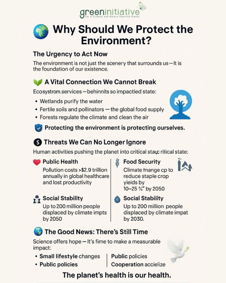 Why should we protect the environment the urgency to act now green