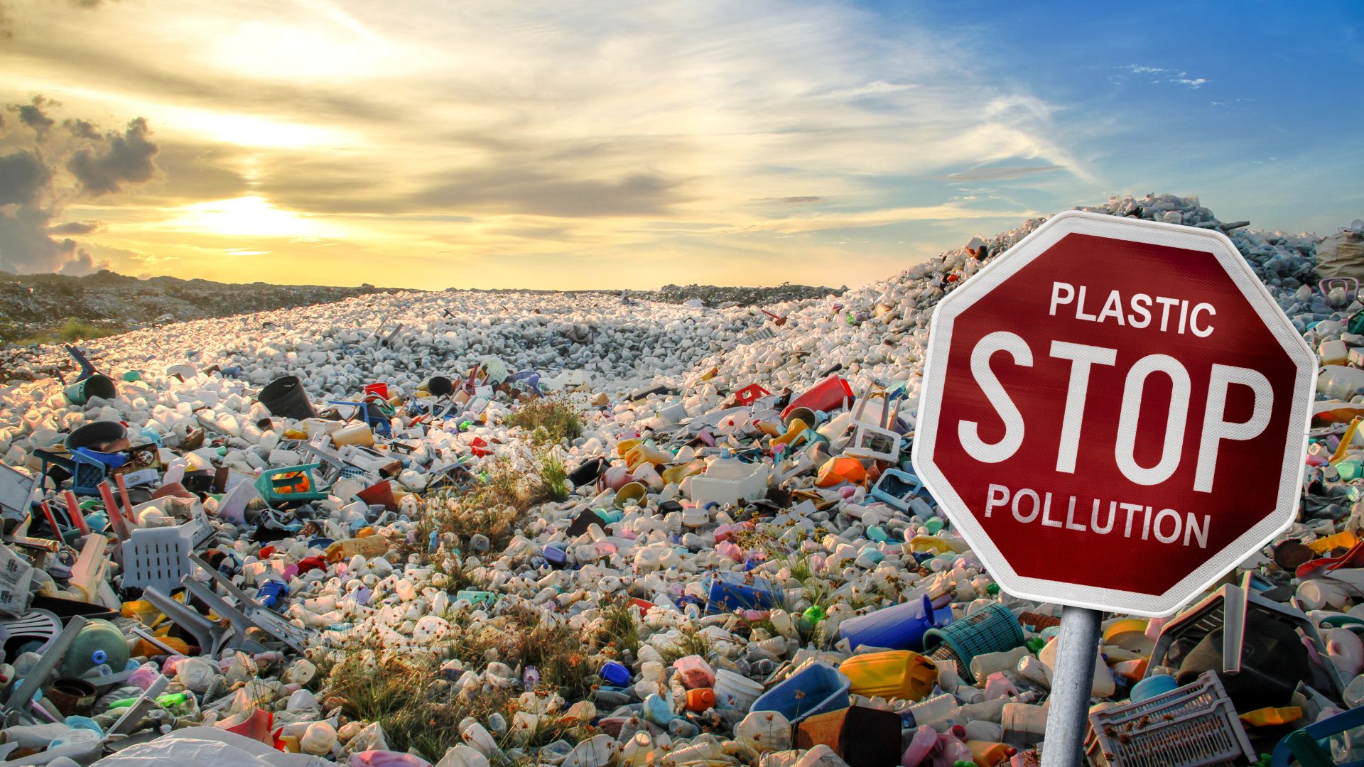 World Environment Day 2025: United for a World #BeatPlasticPollution