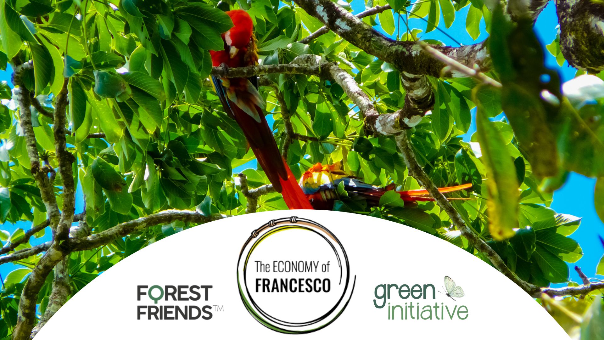 Green Initiative’s Forest Friends Selected for the Economy of Francesco Extraordinary Ideas Global Call