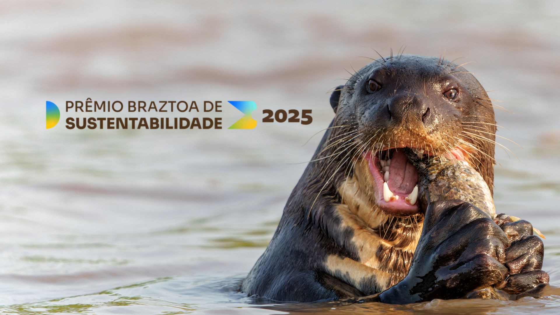 Braztoa Sustainability Award 2025: Green Initiative Among the Finalists