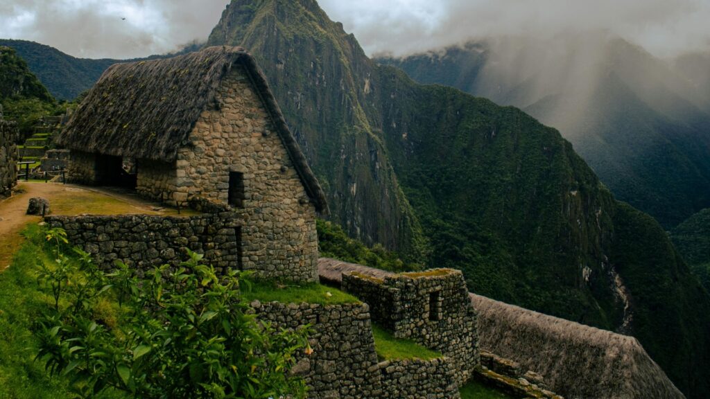 The Forest Friends and SERNANP Collaboration for Machu Picchu