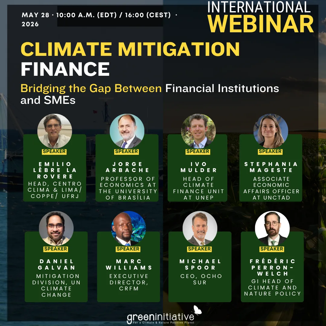 International Webinar Climate Mitigation Finance Bridging the gap between Financial Institutions and SMEs